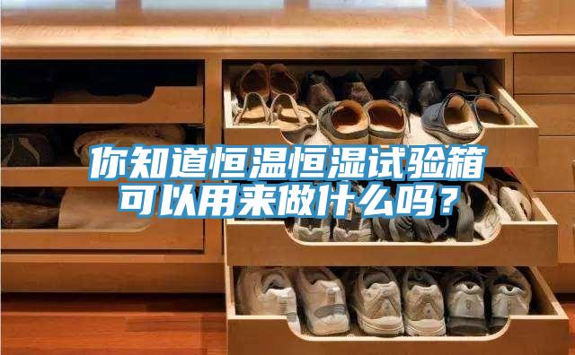 你知道恒溫恒濕試驗(yàn)箱可以用來(lái)做什么嗎？