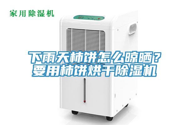 下雨天柿餅怎么晾曬？要用柿餅烘干除濕機