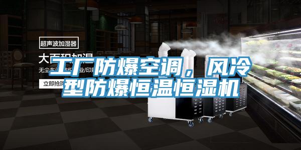 工廠防爆空調,風冷型防爆恒溫恒濕機
