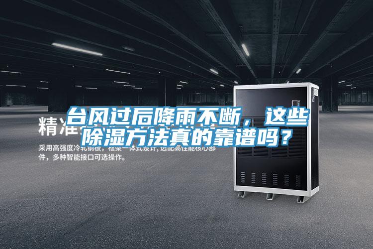 臺風過后降雨不斷，這些除濕方法真的靠譜嗎？