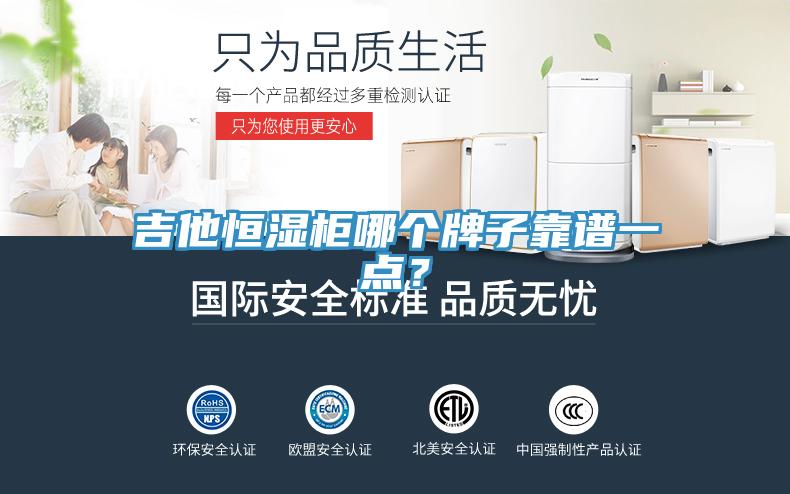 吉他恒濕柜哪個牌子靠譜一點?