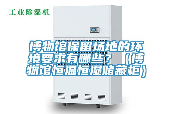 博物館保留場(chǎng)地的環(huán)境要求有哪些？（博物館恒溫恒濕儲(chǔ)藏柜）