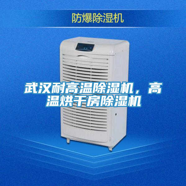 武漢耐高溫除濕機,高溫烘干房除濕機