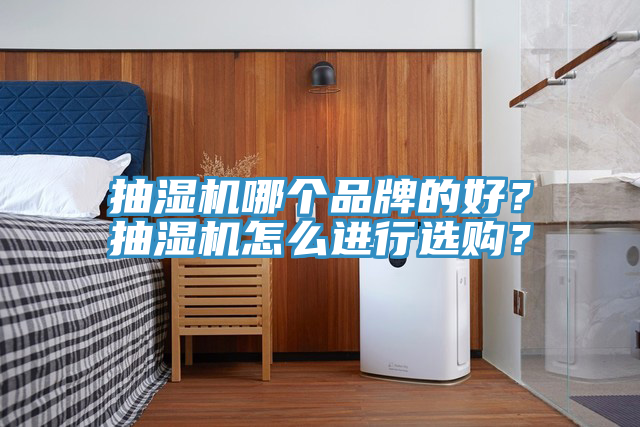 抽濕機哪個品牌的好？抽濕機怎么進行選購？