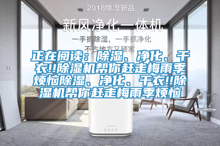 正在閱讀：除濕、凈化、干衣!!除濕機幫你趕走梅雨季煩惱除濕、凈化、干衣!!除濕機幫你趕走梅雨季煩惱