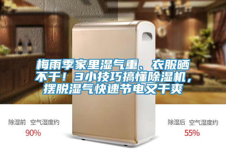 梅雨季家里濕氣重、衣服曬不干!3小技巧搞懂除濕機(jī),擺脫濕氣快速節(jié)電又干爽