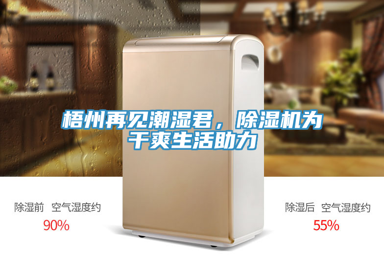 梧州再見潮濕君，除濕機為干爽生活助力