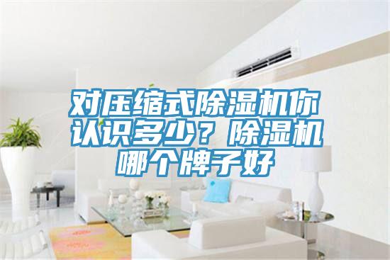 對壓縮式除濕機你認識多少？除濕機哪個牌子好