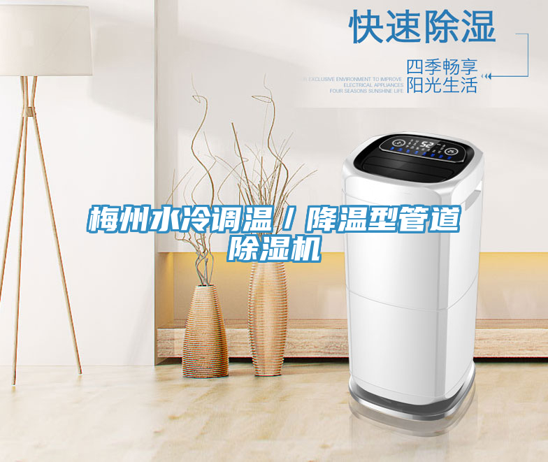 梅州水冷調溫/降溫型管道除濕機