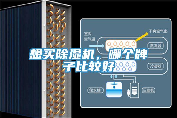 想買除濕機,哪個牌子比較好