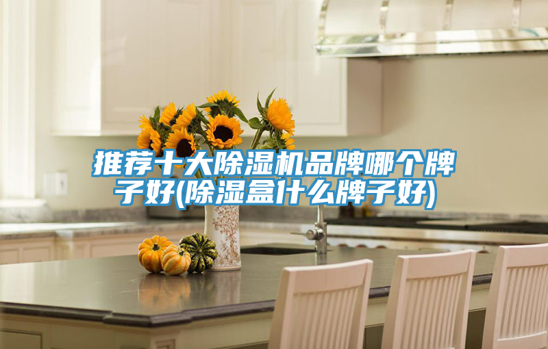 推薦十大除濕機(jī)品牌哪個牌子好(除濕盒什么牌子好)