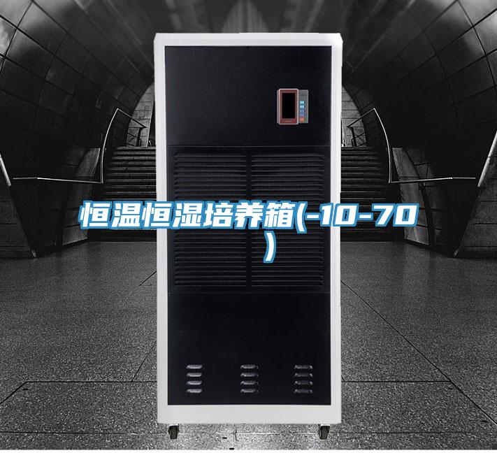 恒溫恒濕培養箱(-10-70 ℃)