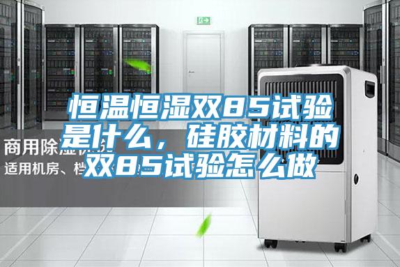 恒溫恒濕雙85試驗是什么,硅膠材料的雙85試驗怎么做