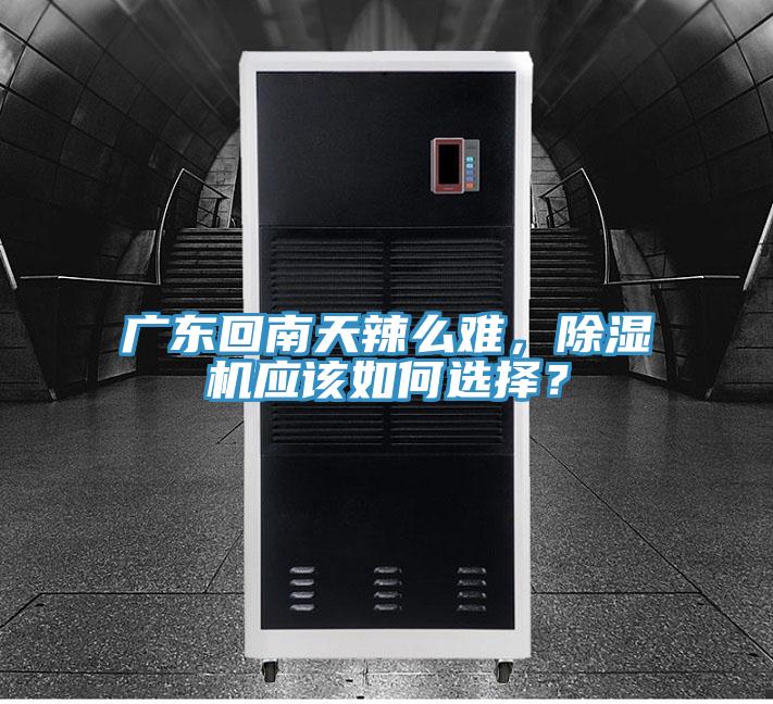 廣東回南天辣么難,除濕機(jī)應(yīng)該如何選擇?