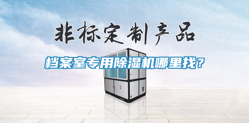 檔案室專用除濕機(jī)哪里找?