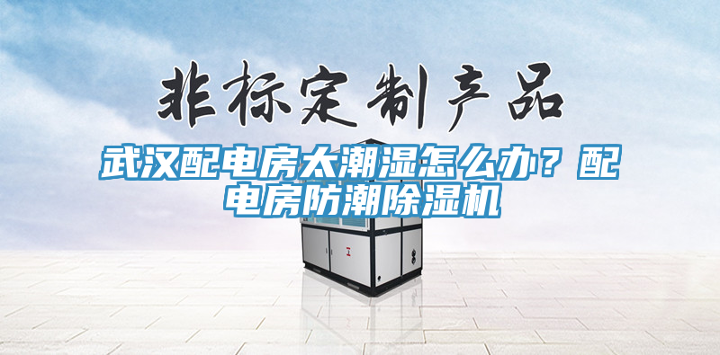 武漢配電房太潮濕怎么辦?配電房防潮除濕機