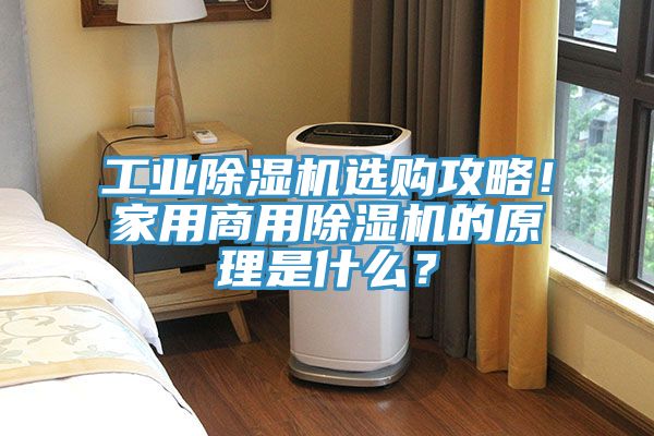 工業除濕機選購攻略！家用商用除濕機的原理是什么？