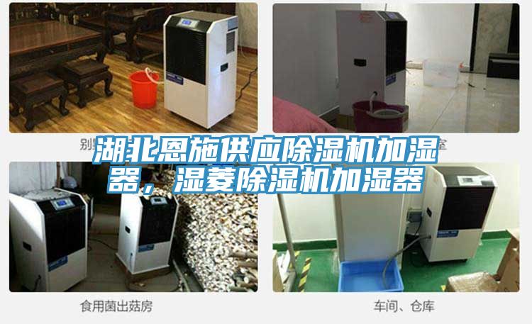 湖北恩施供應除濕機加濕器,濕菱除濕機加濕器