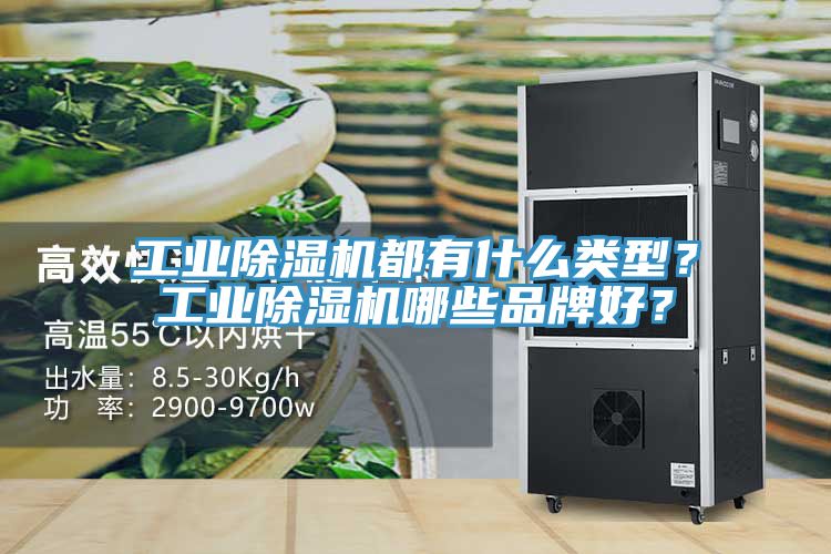 工業除濕機都有什么類型？工業除濕機哪些品牌好？