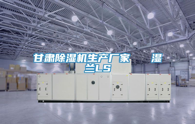 甘肅除濕機(jī)生產(chǎn)廠(chǎng)家 濕蘭LS