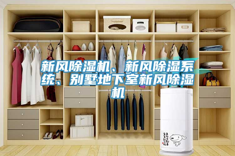 新風(fēng)除濕機(jī)、新風(fēng)除濕系統(tǒng)、別墅地下室新風(fēng)除濕機(jī)