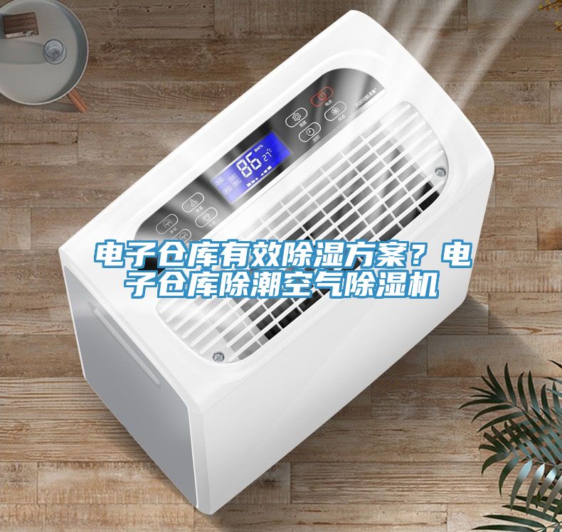 電子倉庫有效除濕方案？電子倉庫除潮空氣除濕機