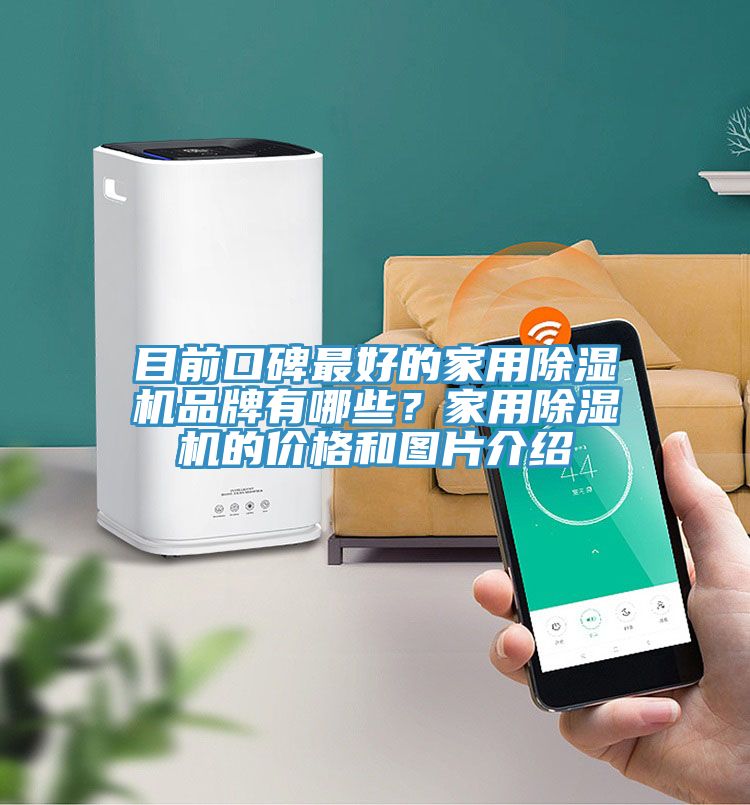目前口碑最好的家用除濕機(jī)品牌有哪些？家用除濕機(jī)的價格和圖片介紹