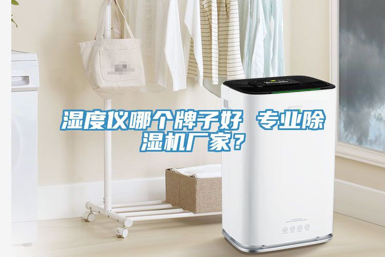 濕度儀哪個牌子好 專業除濕機廠家？