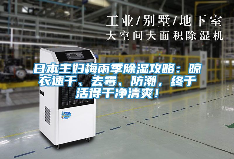 日本主婦梅雨季除濕攻略：晾衣速干、去霉、防潮，終于活得干凈清爽！