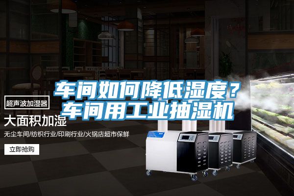車間如何降低濕度?車間用工業抽濕機