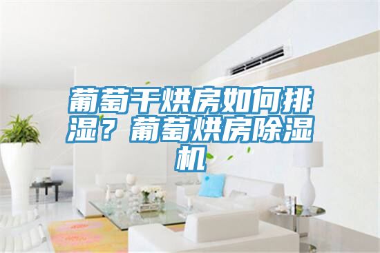 葡萄干烘房如何排濕？葡萄烘房除濕機(jī)