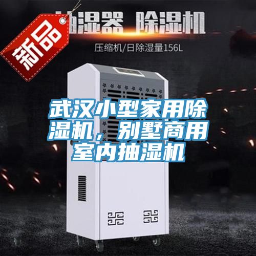 武漢小型家用除濕機,別墅商用室內抽濕機