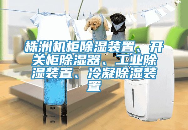 株洲機柜除濕裝置、開關柜除濕器、工業除濕裝置、冷凝除濕裝置