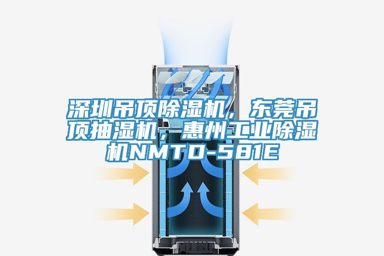 深圳吊頂除濕機，東莞吊頂抽濕機，惠州工業除濕機NMTD-581E