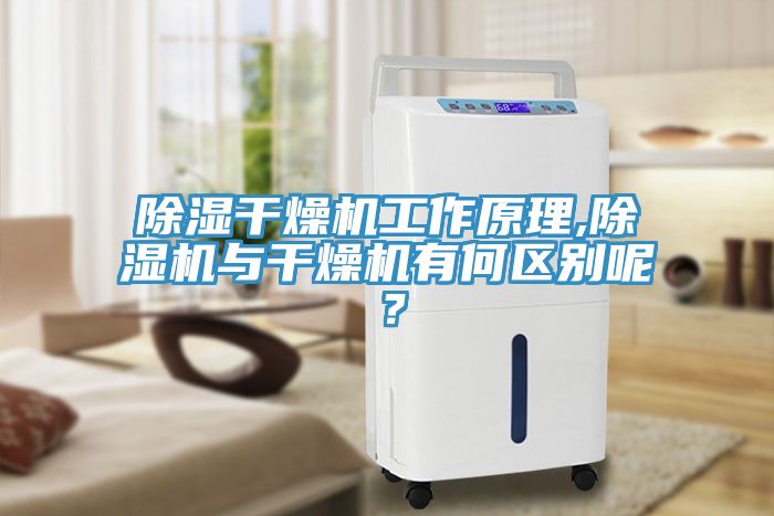 除濕干燥機工作原理,除濕機與干燥機有何區別呢？