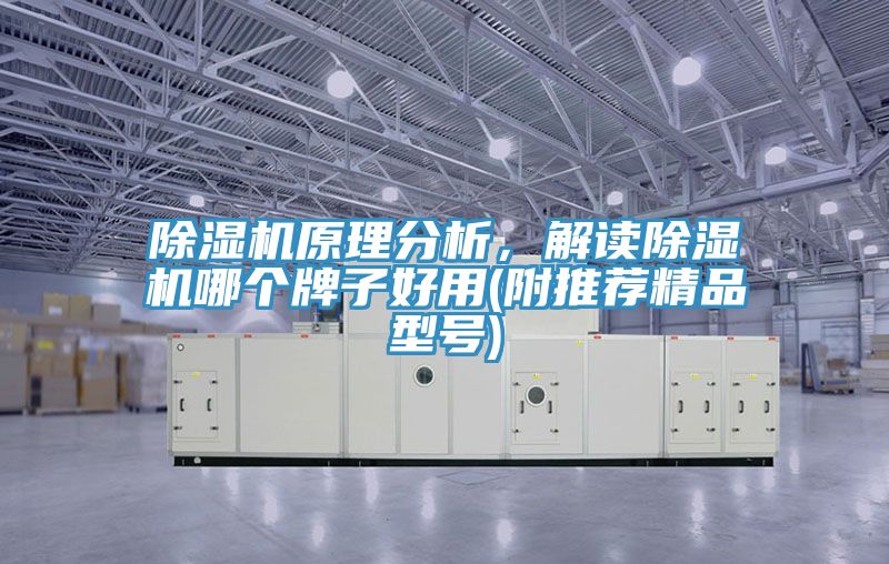 除濕機(jī)原理分析，解讀除濕機(jī)哪個牌子好用(附推薦精品型號)