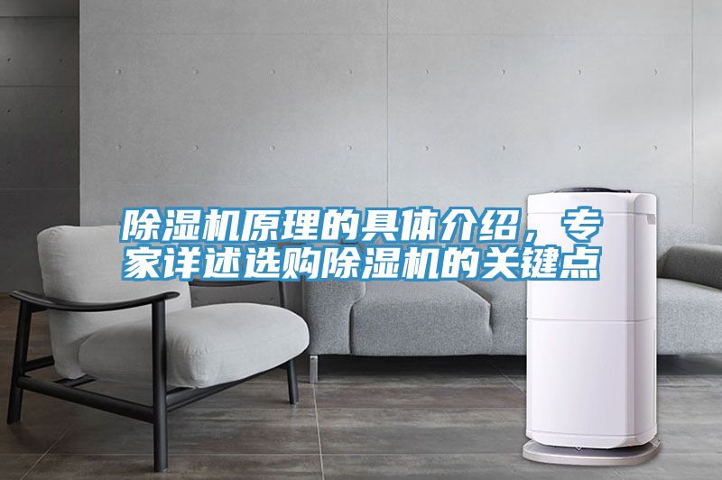 除濕機原理的具體介紹，專家詳述選購除濕機的關鍵點