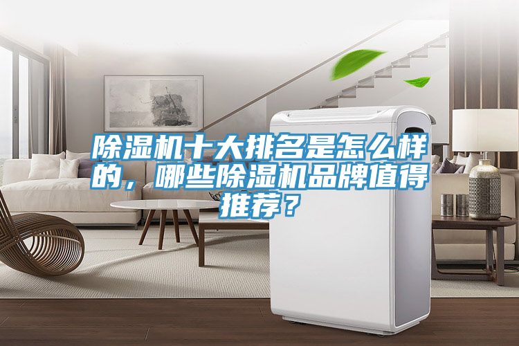 除濕機十大排名是怎么樣的，哪些除濕機品牌值得推薦？