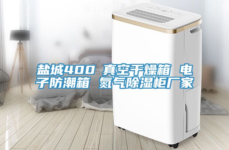 鹽城400℃真空干燥箱 電子防潮箱 氮?dú)獬凉窆駨S家