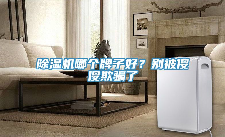 除濕機(jī)哪個牌子好？別被傻傻欺騙了