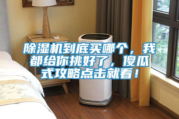 除濕機(jī)到底買哪個,我都給你挑好了,傻瓜式攻略點(diǎn)擊就看!