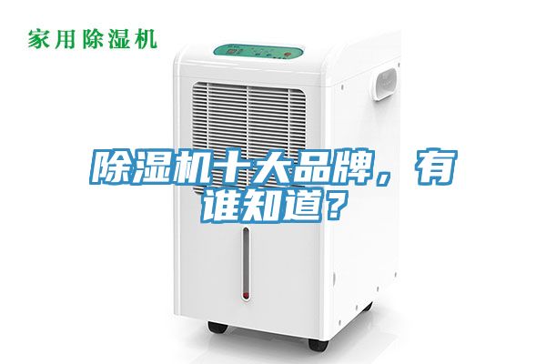 除濕機十大品牌，有誰知道？