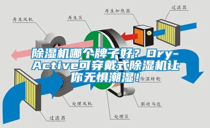 除濕機(jī)哪個牌子好？Dry-Active可穿戴式除濕機(jī)讓你無懼潮濕！