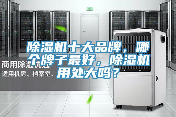 除濕機十大品牌，哪個牌子最好，除濕機用處大嗎？