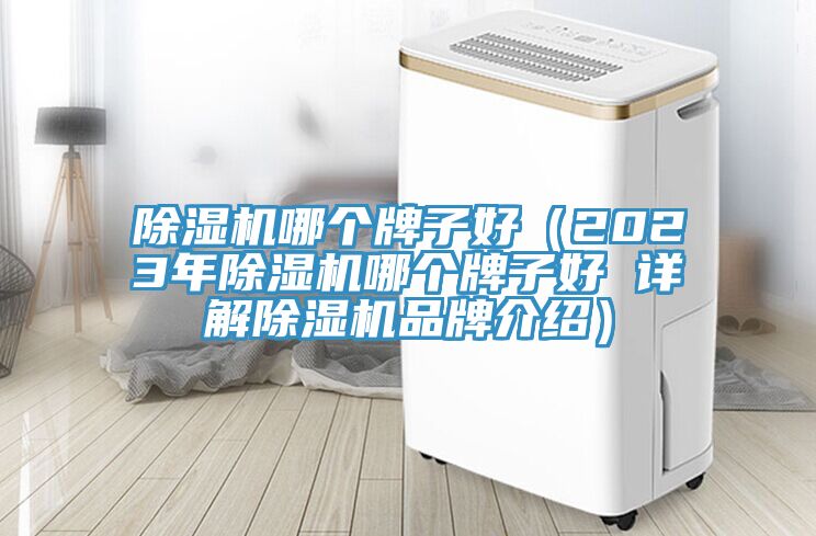 除濕機哪個牌子好(2023年除濕機哪個牌子好 詳解除濕機品牌介紹)