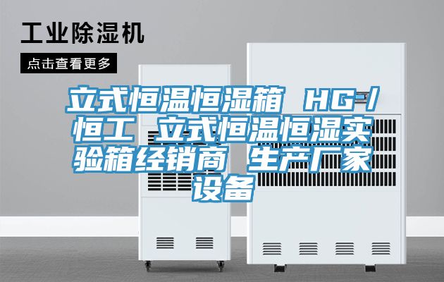 立式恒溫恒濕箱 HG/恒工 立式恒溫恒濕實驗箱經(jīng)銷商 生產(chǎn)廠家設(shè)備