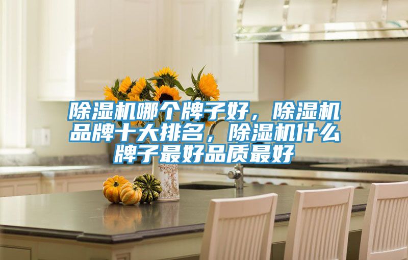 除濕機哪個牌子好，除濕機品牌十大排名，除濕機什么牌子最好品質最好