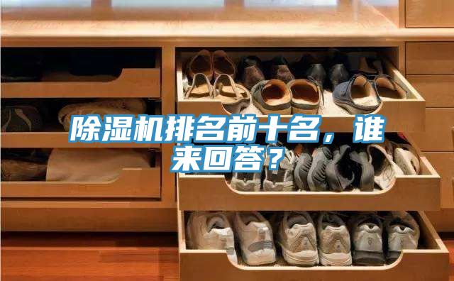 除濕機排名前十名，誰來回答？