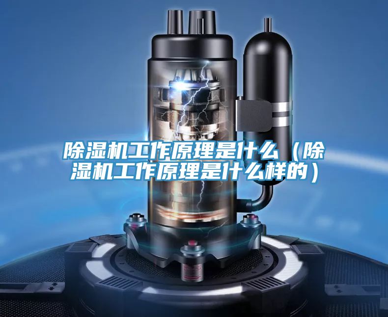 除濕機(jī)工作原理是什么(除濕機(jī)工作原理是什么樣的)