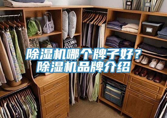 除濕機哪個牌子好？除濕機品牌介紹